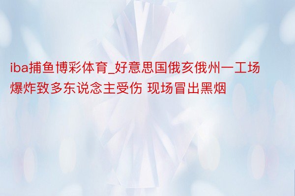 iba捕鱼博彩体育_好意思国俄亥俄州一工场爆炸致多东说念主受