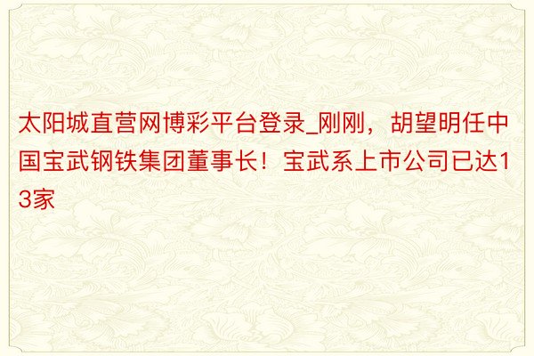 太阳城直营网博彩平台登录_刚刚，胡望明任中国宝武钢铁集团董事